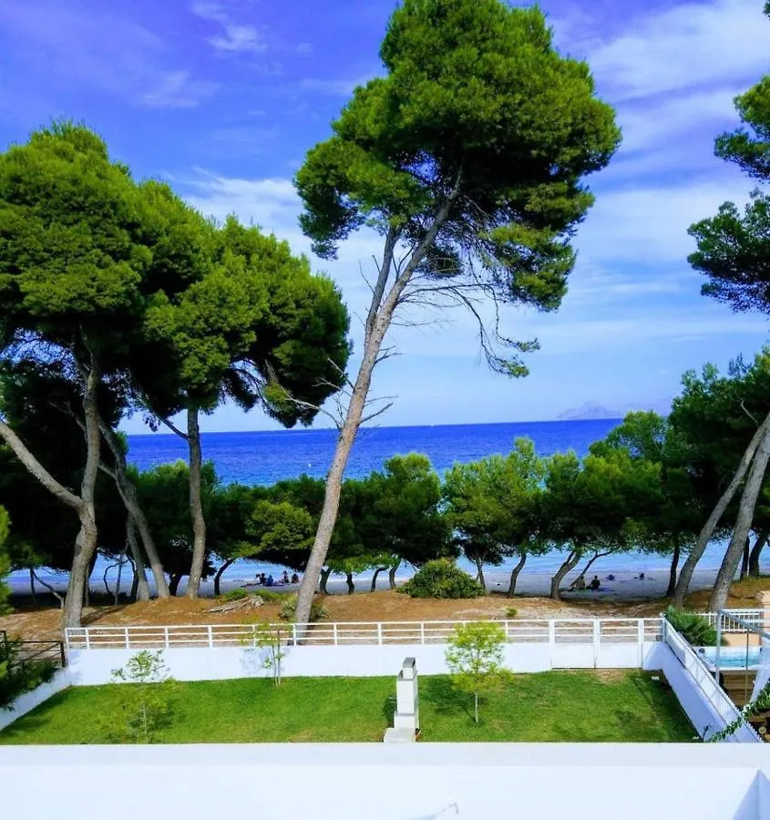 Gemelos Alcudia  Spain